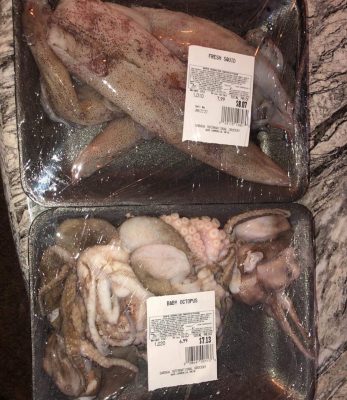 Banded Cat Shark for sale Banded Cat Shark for sale