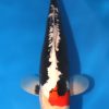 Beni Kumonryu Koi For Sale