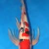 Hirenaga Taisho Sanke Koi Fish For Sale