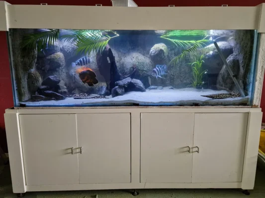 black diamond stingray tank size